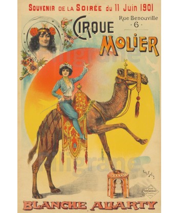 CIRQUE MOLIER B. ALLARTY Rdhn-POSTER/REPRODUCTION  d1 AFFICHE VINTAGE Comparez plus de prix