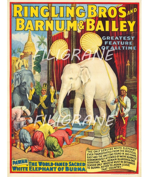 CIRQUE RINGLING BROS BARNUM Rjkb-POSTER/REPRODUCTION  d1 AFFICHE VINTAGE l'achat 