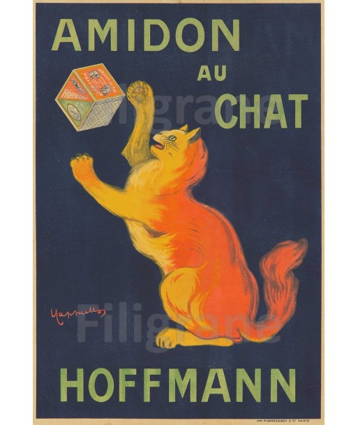 PUB AMIDON au CHAT HOFFMANN Rtmn-POSTER/REPRODUCTION  d1 AFFICHE VINTAGE Amélioration de cerveau avec