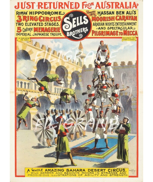 SAHARA DESERT CIRCUS Riya-POSTER/REPRODUCTION  d1 AFFICHE VINTAGE d'Europe débarque