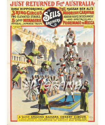 SELLS BROTHERS CIRCUS Rvfo-POSTER/REPRODUCTION  d1 AFFICHE VINTAGE À commander