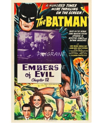 CINéMA BATMAN EMBERS of EVIL Rlro-POSTER/REPRODUCTION d1 AFFICHE VINTAGE une grave pollution 