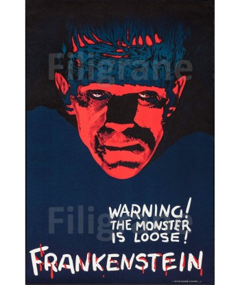 CINéMA FRANKENSTEIN Rrwx-POSTER/REPRODUCTION d1 AFFICHE VINTAGE 2023