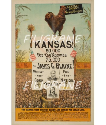 CINéMA KANSAS JAMES G. BLAINE Rbel-POSTER/REPRODUCTION d1 AFFICHE VINTAGE 50% de réduction en Octobre 2024