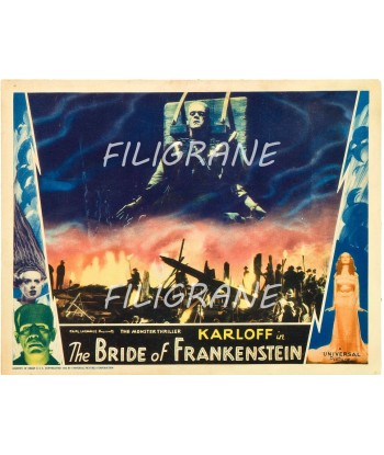 CINéMA THE BRIDE of FRANKENSTEIN Rzhl-POSTER/REPRODUCTION d1 AFFICHE VINTAGE Paris Déstockage Promo