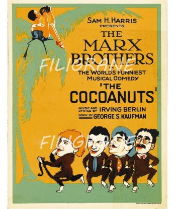 CINéMA THE COCOANUTS  Rogv-POSTER/REPRODUCTION d1 AFFICHE VINTAGE Découvrez la collection