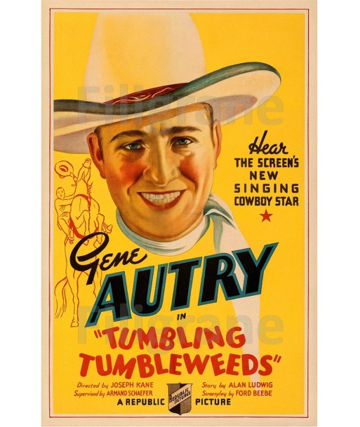 CINéMA TUMBLING TUMBLEWEEDS Rjpi-POSTER/REPRODUCTION d1 AFFICHE VINTAGE les ctes