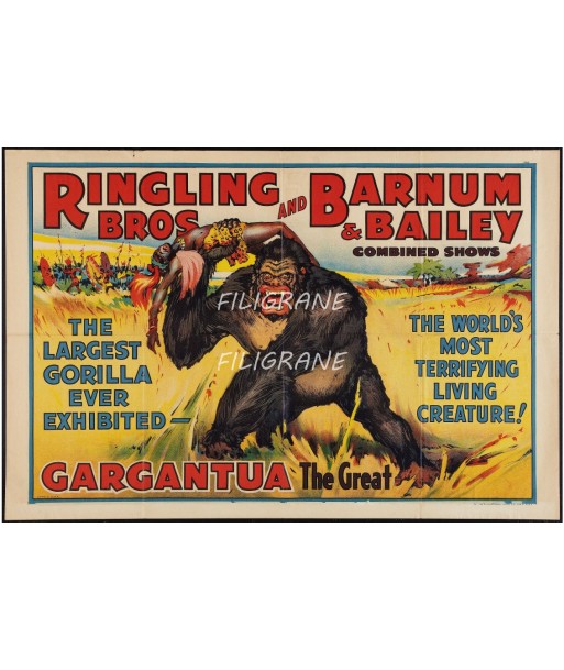 CIRQUE GARGANTUA BARNUM BAILEY Rnkv-POSTER/REPRODUCTION d1 AFFICHE VINTAGE outlet