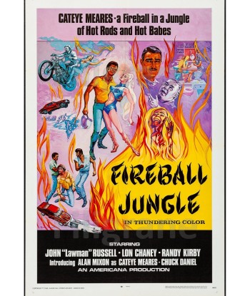 FIREBALL JUNGLE FILM Rptw-POSTER/REPRODUCTION d1 AFFICHE VINTAGE la colonne vertébrale