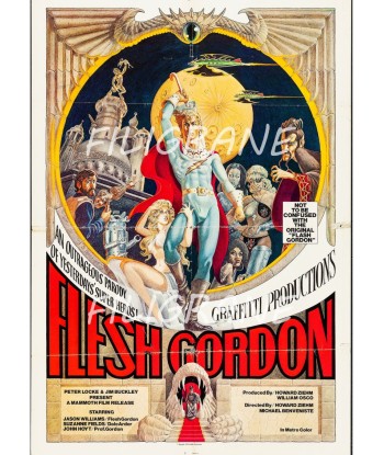 FLESH GORDON FILM Rcts-POSTER/REPRODUCTION d1 AFFICHE VINTAGE Faites des économies