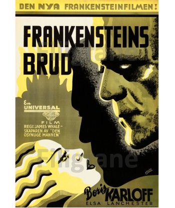 FRANKENSTEINS BRUD FILM Reyk-POSTER/REPRODUCTION d1 AFFICHE VINTAGE pas cheres