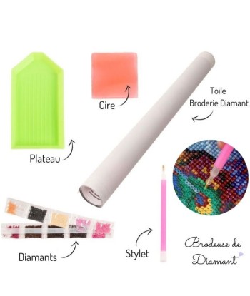 Kit Broderie Diamant Personnalisé pas cher chine