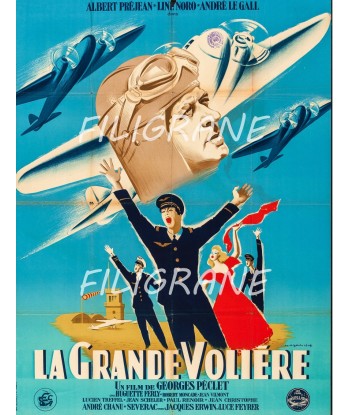 LA GRANDE VOLIèRE FILM Rpvu-POSTER/REPRODUCTION d1 AFFICHE VINTAGE Jusqu'à 80% De Réduction