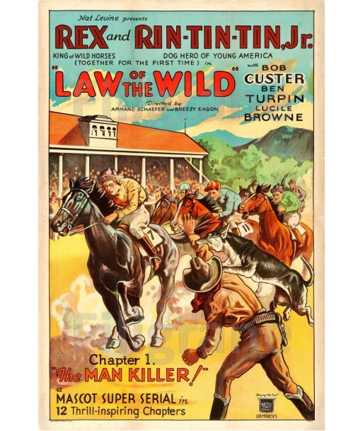 LAW of the WILD FILM Ruri-POSTER/REPRODUCTION d1 AFFICHE VINTAGE Toutes les collections ici