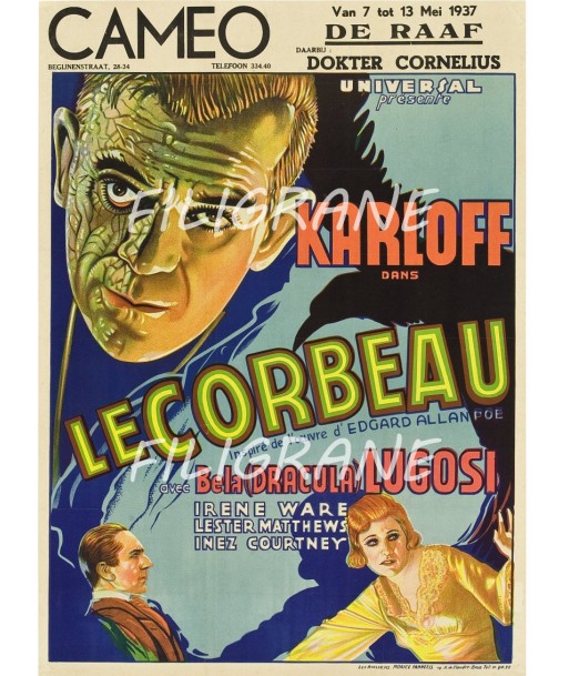 LE CORBEAU FILM Rsnv-POSTER/REPRODUCTION d1 AFFICHE VINTAGE la colonne vertébrale